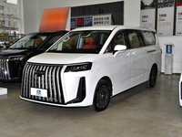 Ruisheng M8 2026 model CNG Deluxe 7-seater